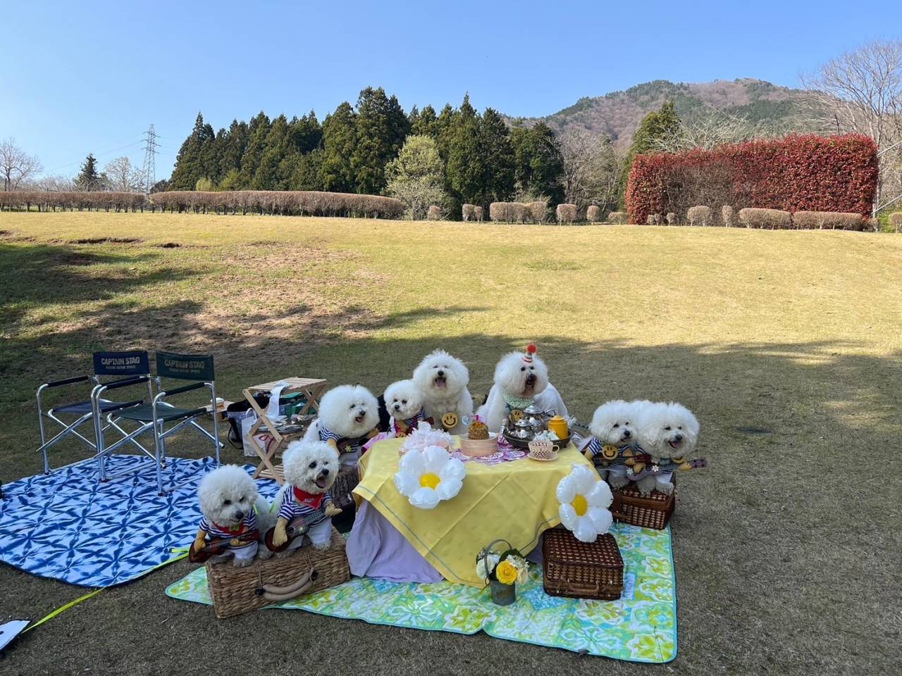 サプライズ🩷 山梨県甲州市桃。ファミリーファーム三森