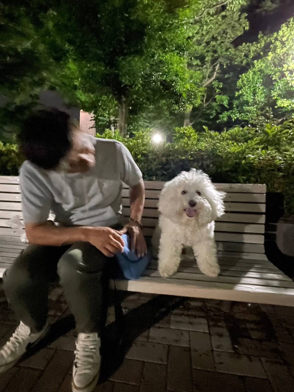 散歩🐶 山梨県甲州市桃.ファミリーファーム三森